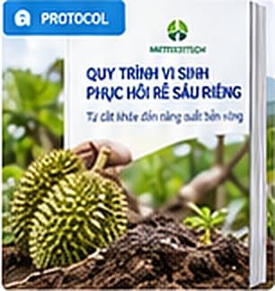 Bìa protocol Quy trình vi sinh phục hồi rễ sầu riêng